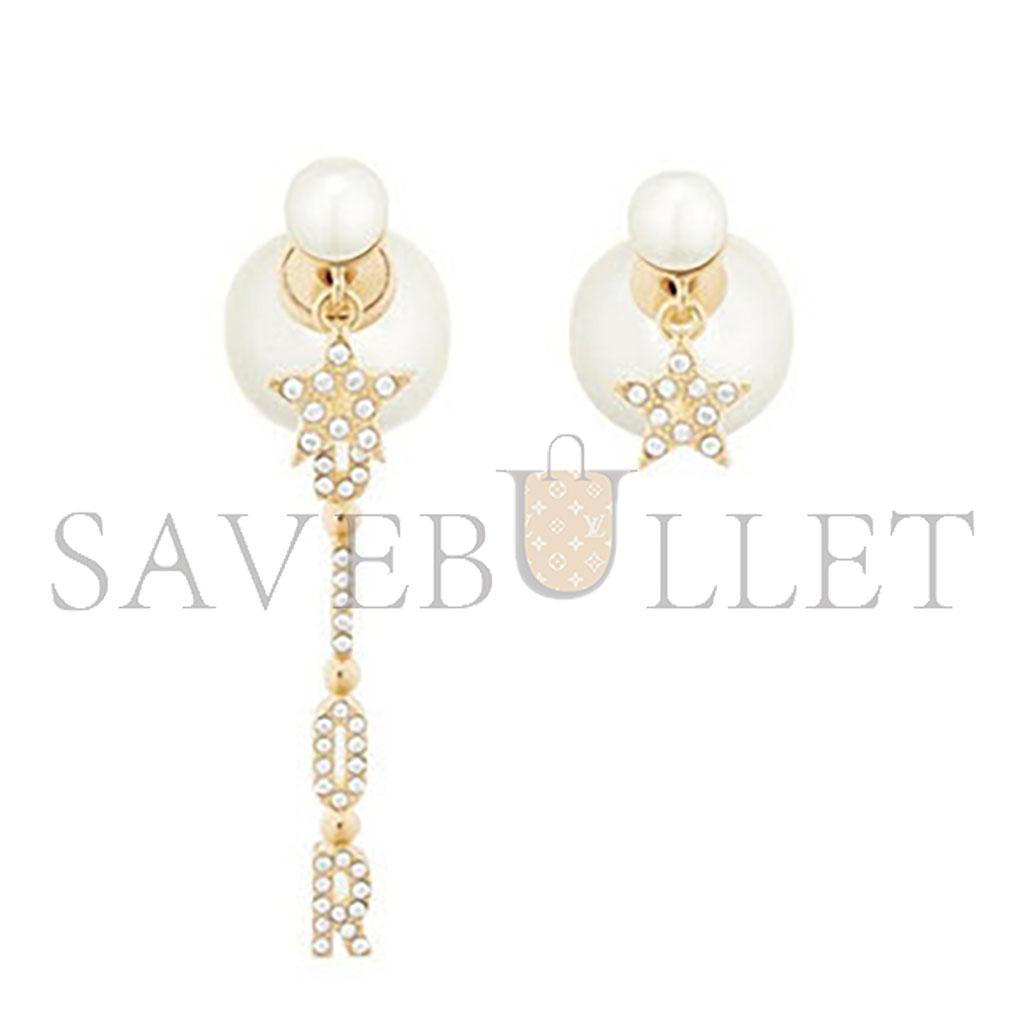 DIOR TAIBALES EARRINGS E1451TRICY_D301